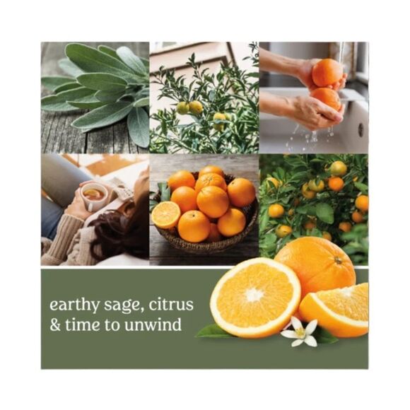 Yankee Candle Scenterpiece Easy MeltCups Sage & Citrus Fragrance New In Package - Picture 3 of 5